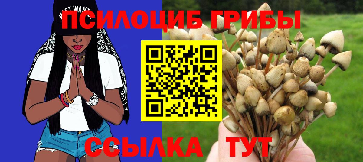 Кингисепп  Псилоцибиновые грибы MAGIC MUSHROOMS  Вход с VPN 